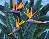 bird of paradise flower Maui Hawaii