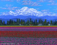 Skajit Valley tulips and mt Baker washington painting