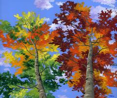 Aspen Foliage painting picture tree cotton wood