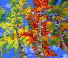 Aspen tree Foliage painting picture cotton wood