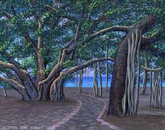 Painting Banyan tree in Lahaina. Original acrylic on canvasboard