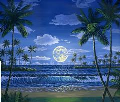 hwaii beach night moon painting picture tropical