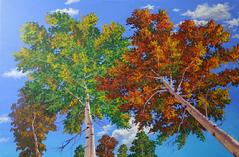 Painting #703 Poplars in autumn, original acrylic painting on canvas 24 x 36 inches. This original painting is available