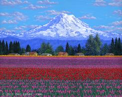 tulips tulip flowers mt rainier puallup washington