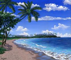 Airport Beach, Maui Hawaii painting picture