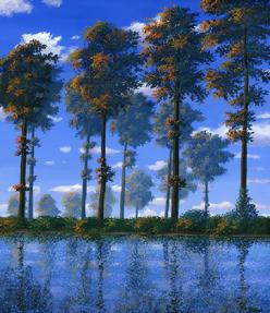 Poplars In The Morning cotton wood painting picture
