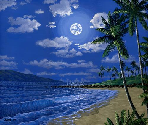 Kapalua Bay Beach In The Moonlight