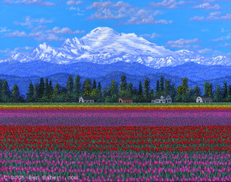 Painting Skajit Valley Tulips & Mt Baker, Washington picture